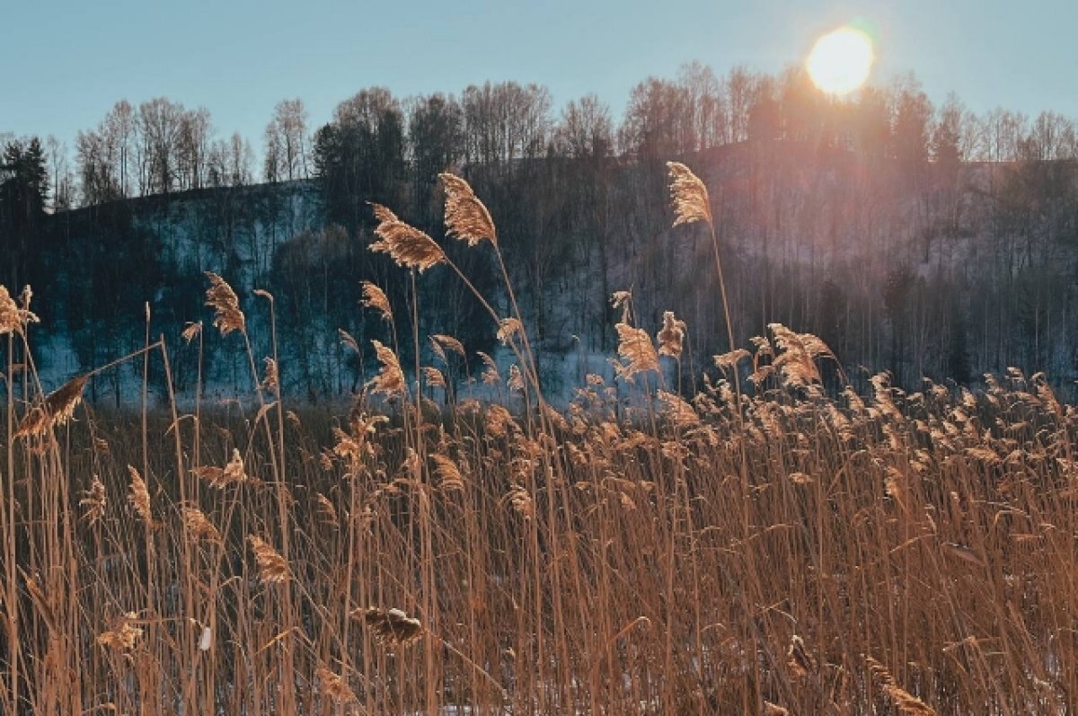    В 2023 году солнце в Санкт-Петербурге светило только один день