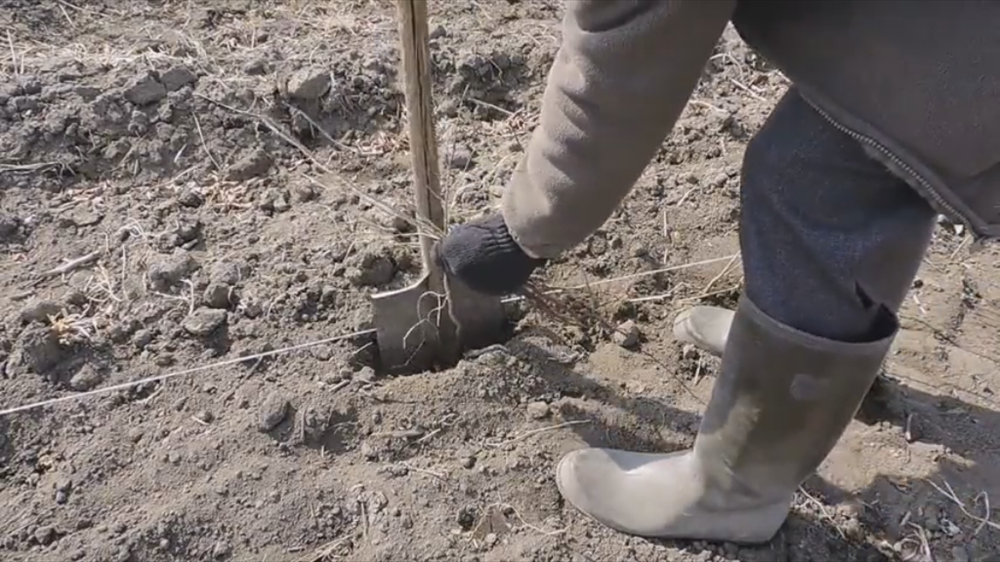 Просто под лопату