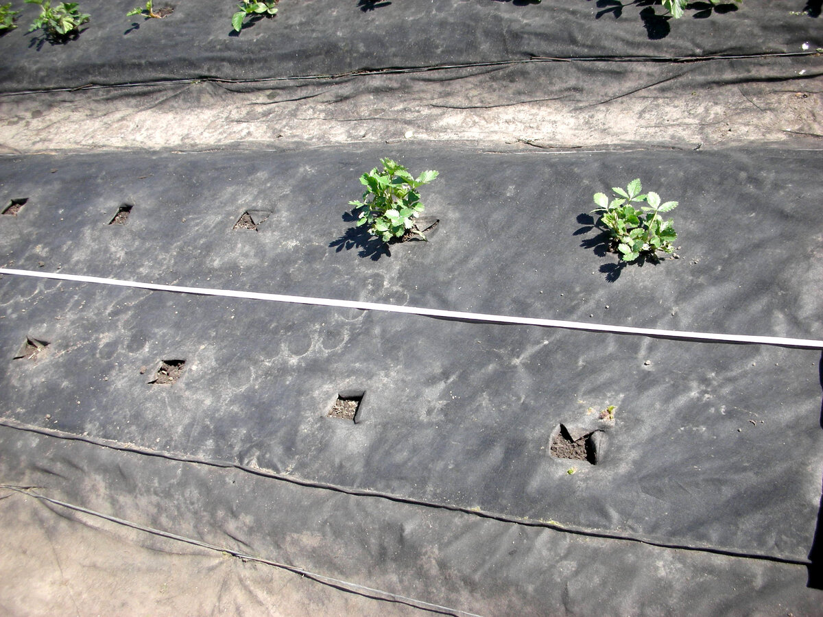 Фото автора статьи