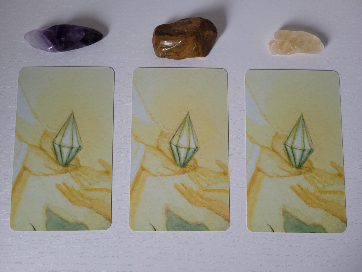 Фото сделано автором канала. 