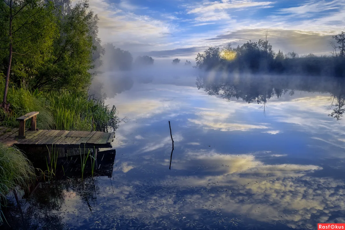 яндекс картинки