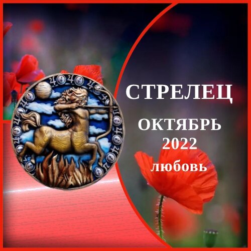 Гороскоп 2024 любовь стрелец. Гороскоп 2024 любовь стрелец. Стрелец 2023. Кошка по гороскопу. Гороскоп на 2023 стрелец женщина.