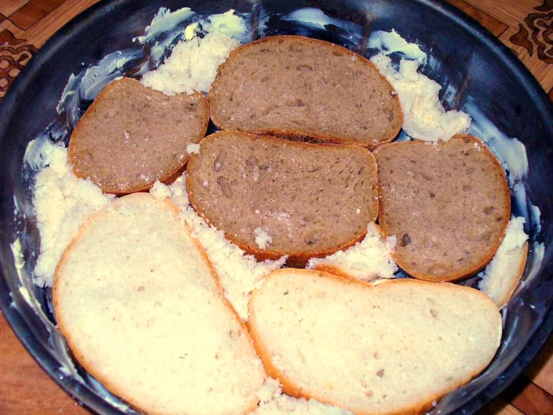 Такса собака. Море таксы и еда дзен. Море таксы и еда дзен. Такса на море. Море таксы и еда дзен.