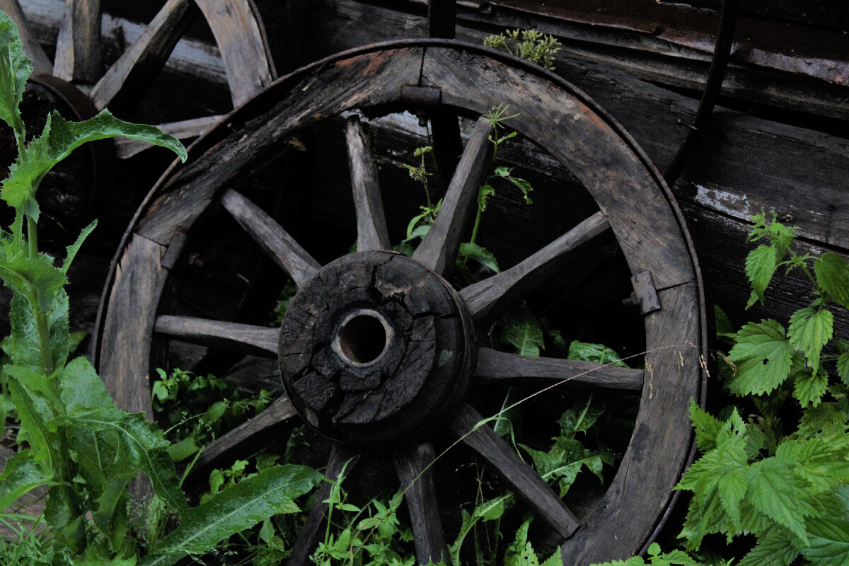 Музей деревенской архитектуры. Листайте фото ,чтобы увидеть больше.