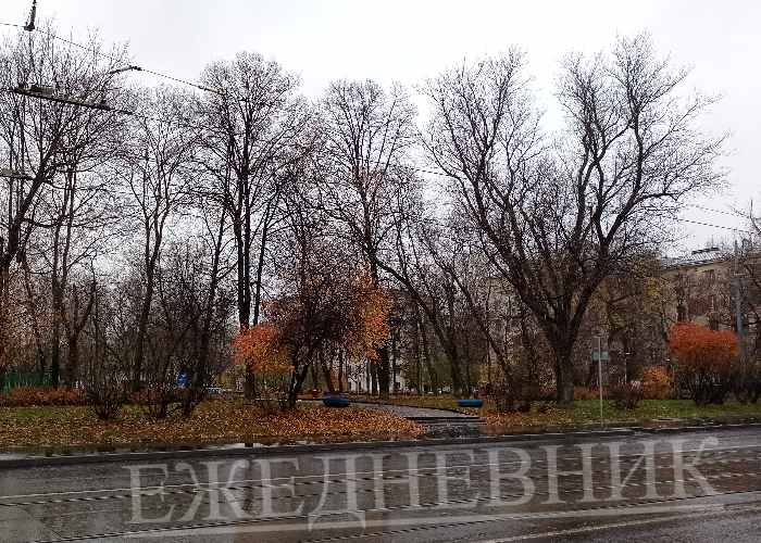 Ежедневник