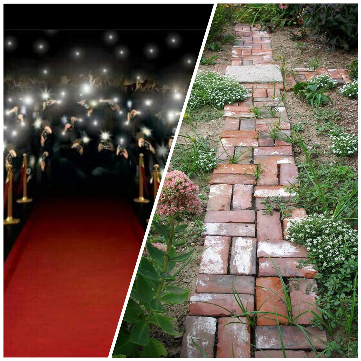 Почему фирменные цвета мешают продвижению в интернете?