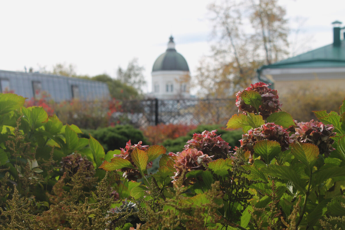 Та самая "жемчужина" - Морозовский сад