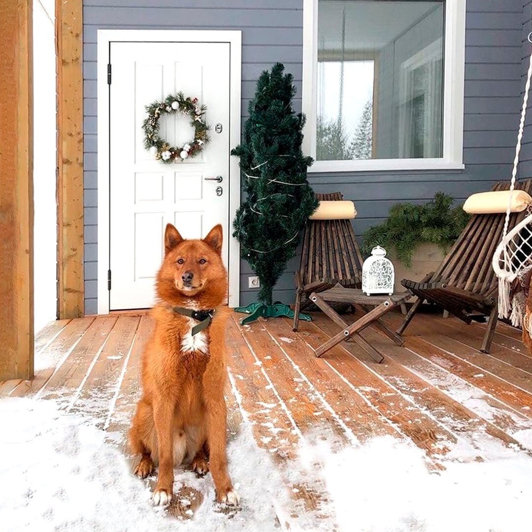 Входная дверь Snegir 60 с рождественским венком
