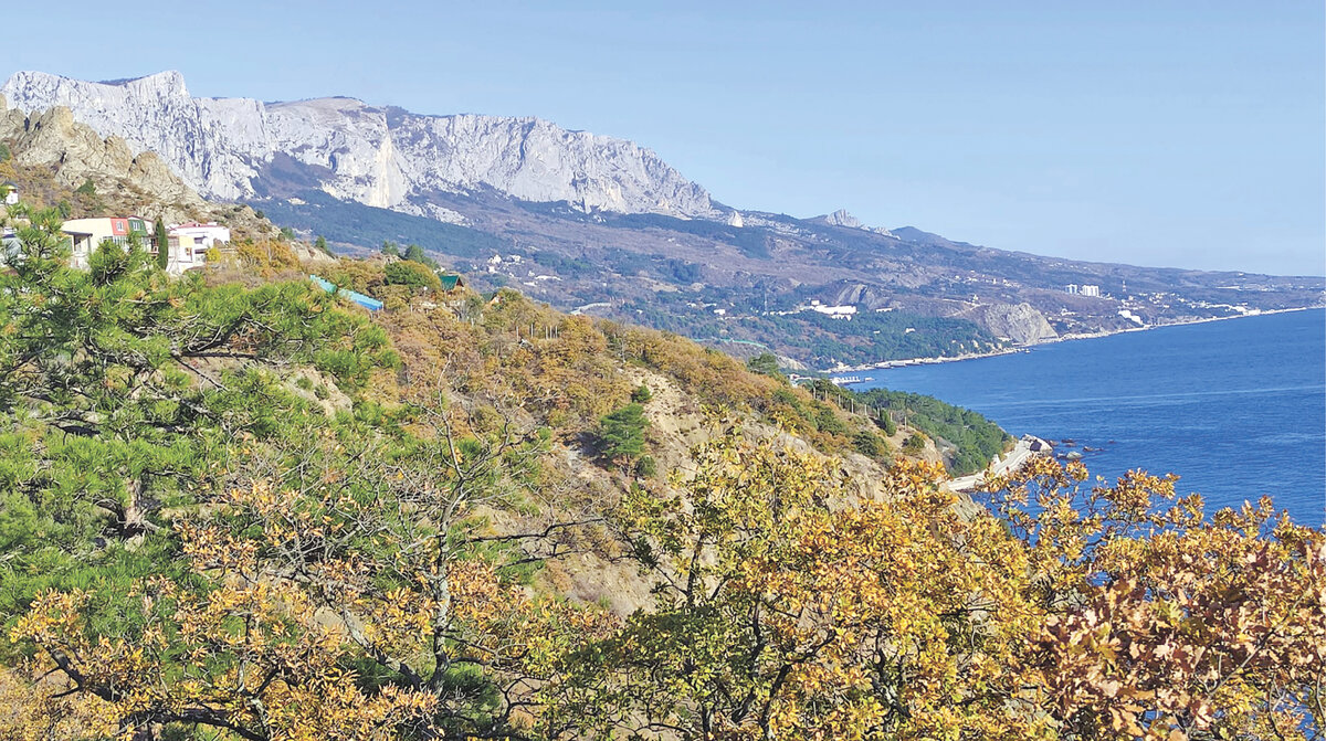 Фото автора