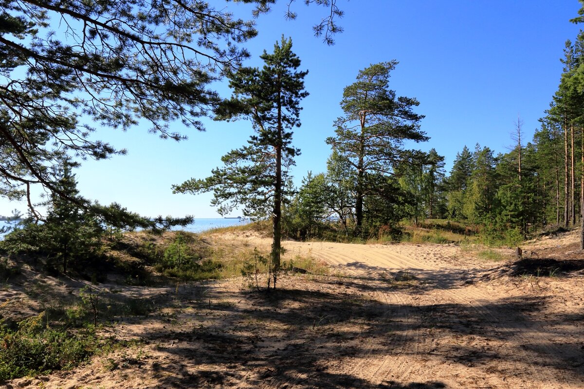 20.08.2015  17:22:10