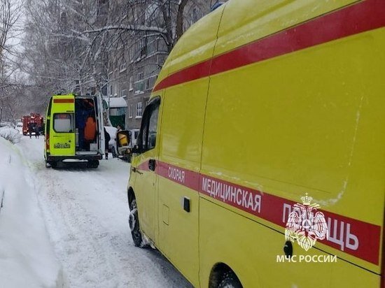     ГУ МЧС по Новосибирской области