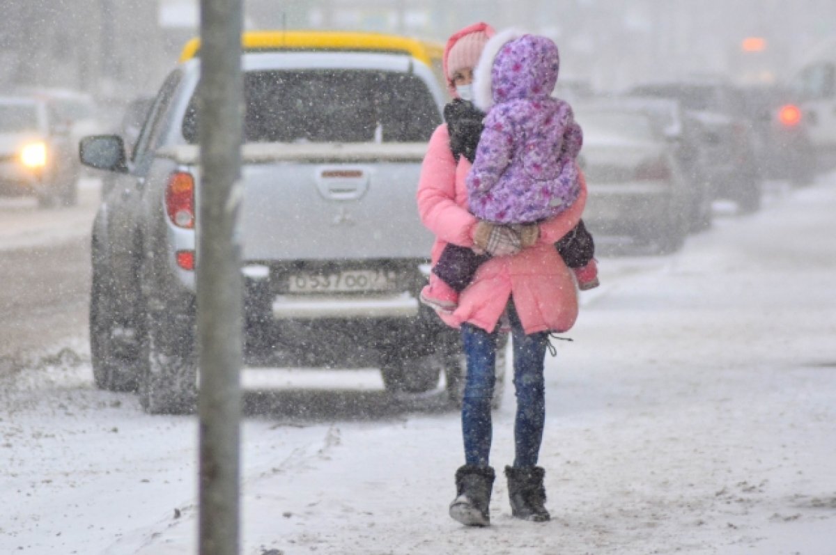    После сильной оттепели Тульская область осталась почти без снежного покрова