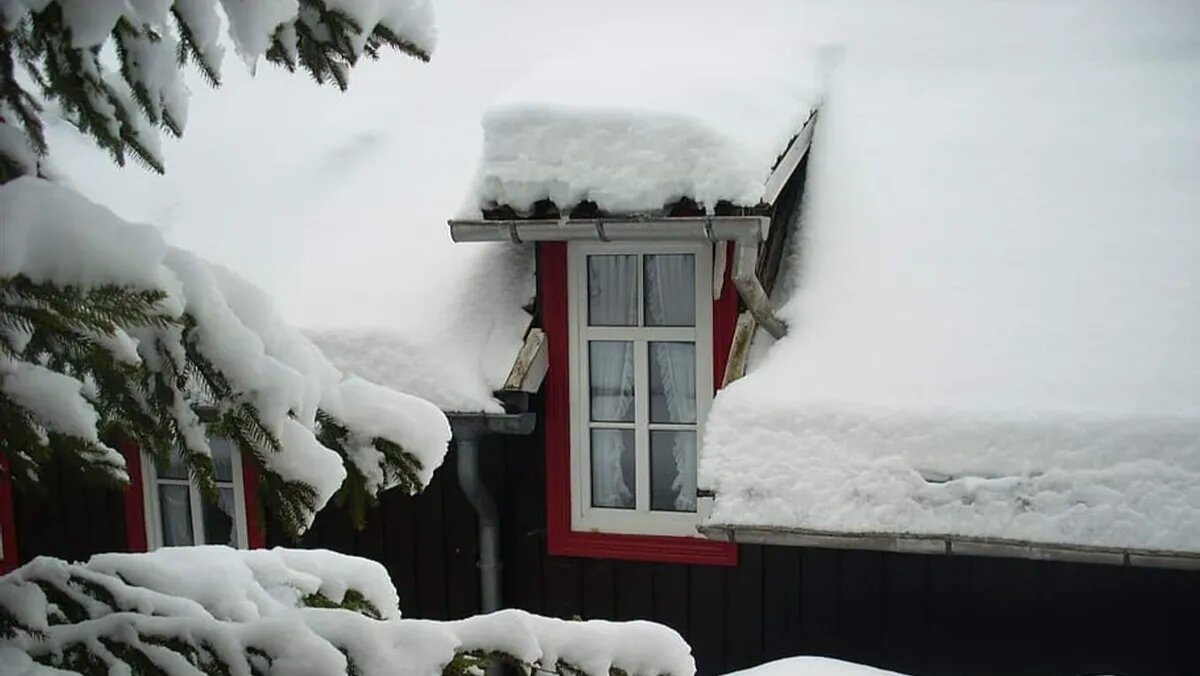 Фото: piqsels.com