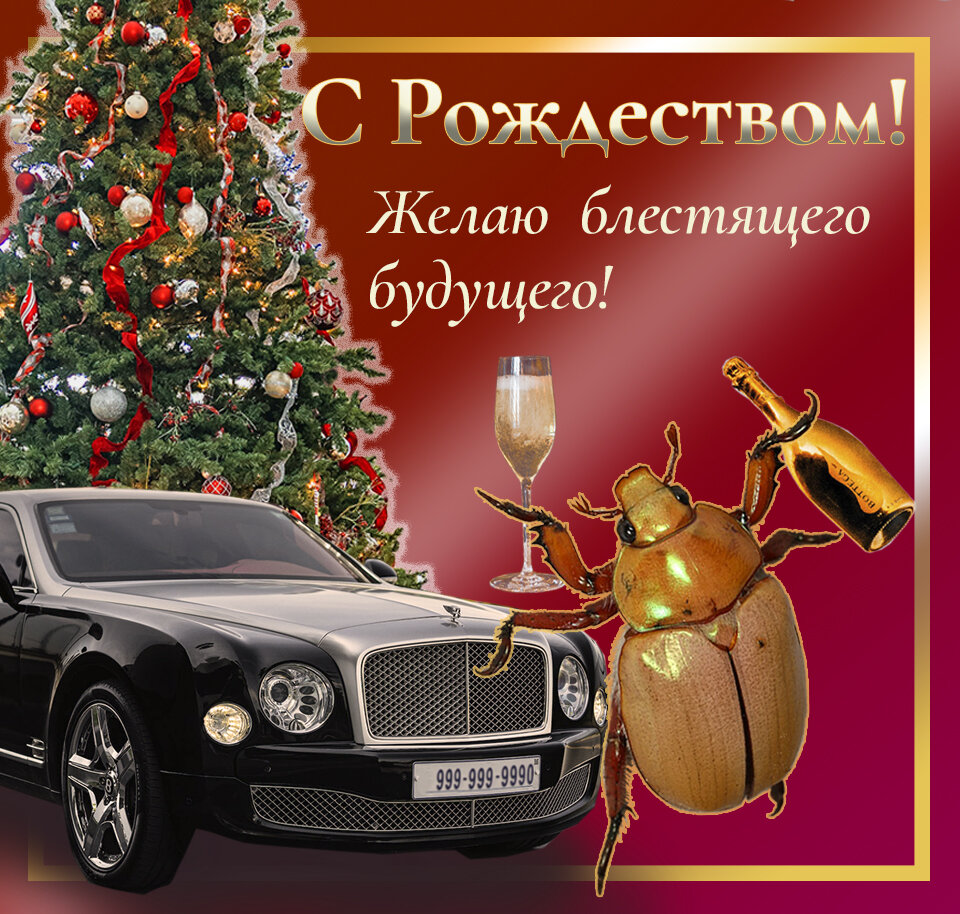   Мария Марковиченко