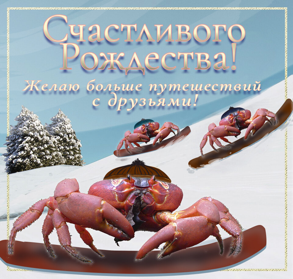   Мария Марковиченко