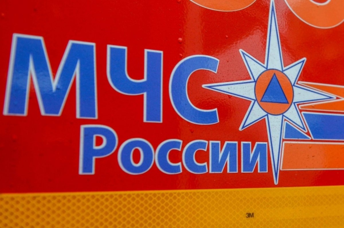    Пассажиров автобуса Москва-Ульяновск спасли на трассе в Нижегородской обл.