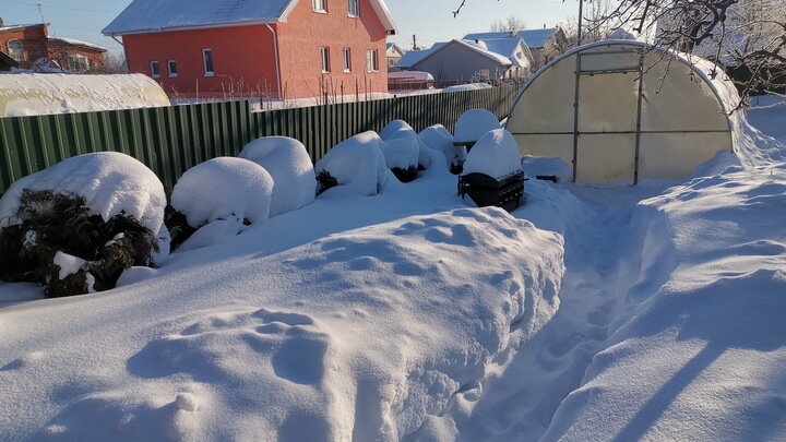 Фото "Царьграда"