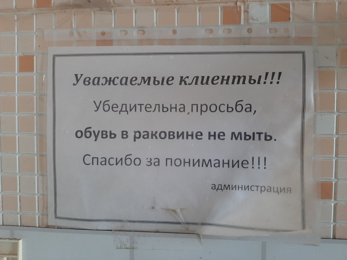 По пути из Крыма на север в одном кафе отравилась, а в другом была в шоке  от туалета | Белкины новости из Крыма | Дзен