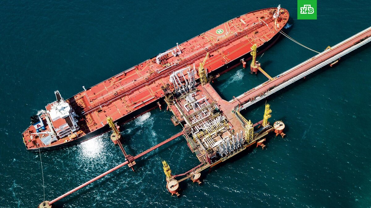    Фото: РИА Новости © 2023, Виталий Тимкив