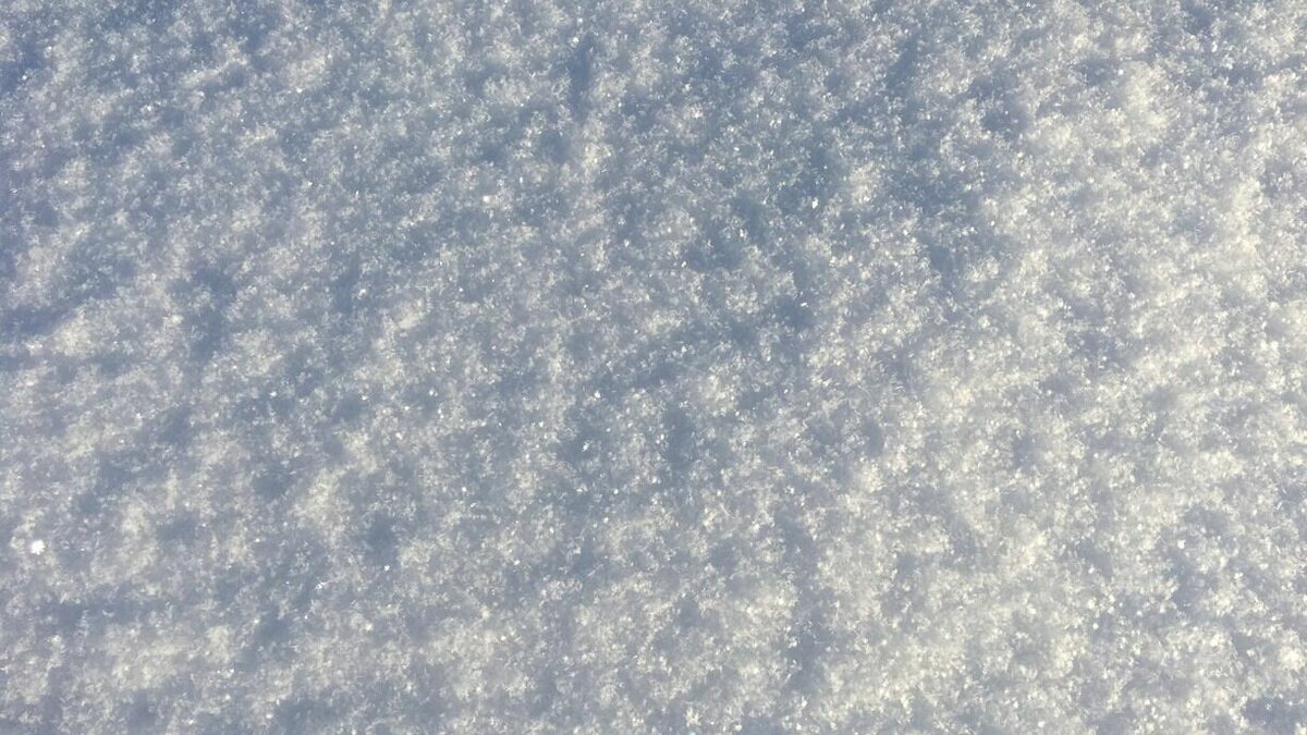     В Примгидромете рассказали о погоде на 12 января. Максимальная температура воздуха составит +6°C.