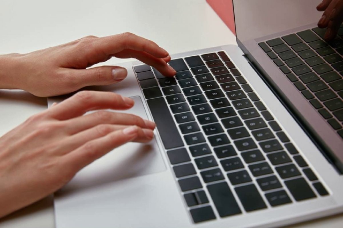    В Заполярье руководитель организации попал в поле зрения ФСБ