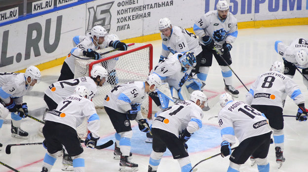    Хоккеисты минского «Динамо».