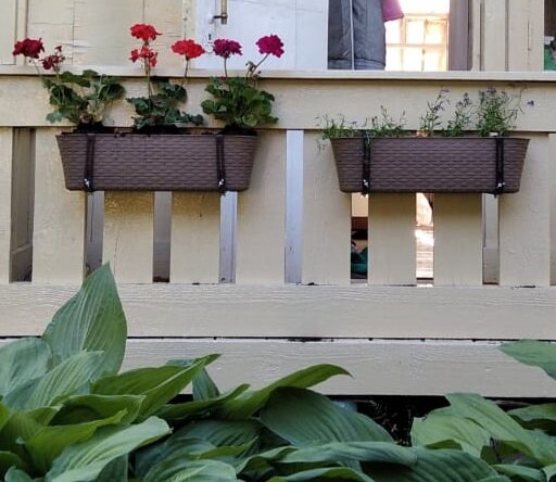 В день посадки