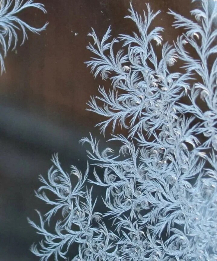 Узор на стекле в морозный день 