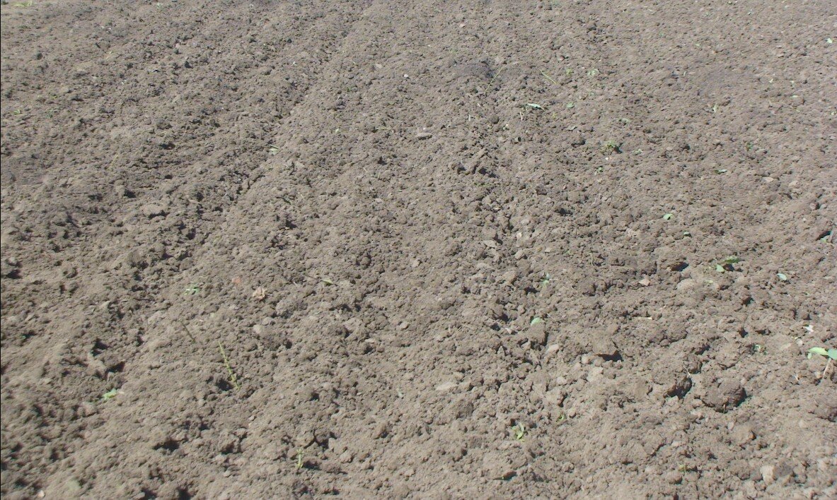 С чистого листа