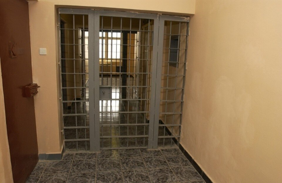   Владимир ВЕЛЕНГУРИН