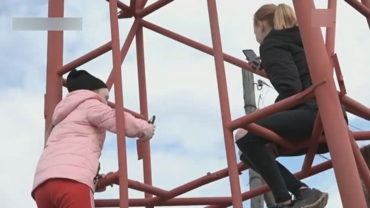 Интернет в деревне можно было поймать только на сотовой вышке