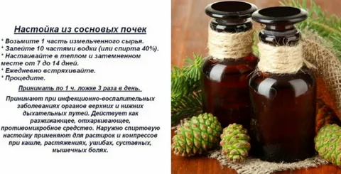 Подборка домашних настоек