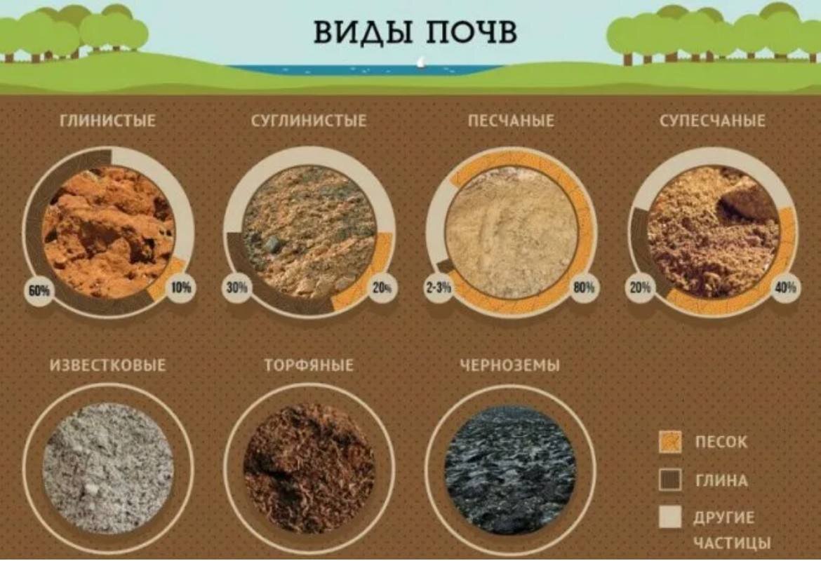 Глинистая, песчаная, глинисто-песчаная. Песок супесь суглинок глина таблица. Типы глинистых грунтов. Как определить вид грунта. Типы грунтов.