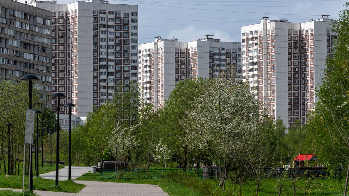 ссылка на источник фото: https://img.dmclk.ru/s1200x800q80