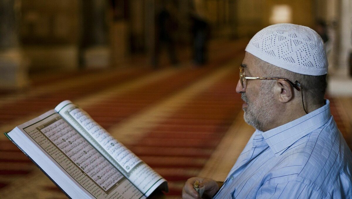     Известный боец UFC чеченского происхождения Хамзат Чимаев высказался против прошедшей акции в Швеции, на которой сожгли Коран, и назвал одного из активистов террористом. Об этом спортсмен написал в своих соцсетях.