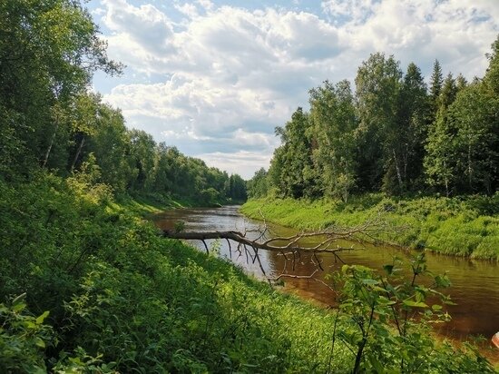     Фото: vk.com/vasyganskiy?z