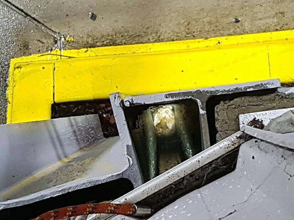 Котенок, провалившийся в отверстие стенки контейнера. Источник фото: https://www.iizcat.com/post/3874/Gas-station-staff-and-rescuers-come-together-to-save-a-crying-kitten