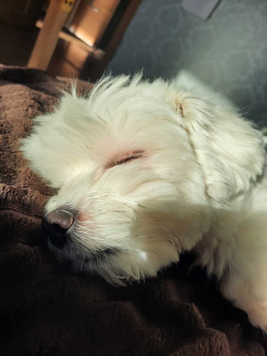 Фото автора.