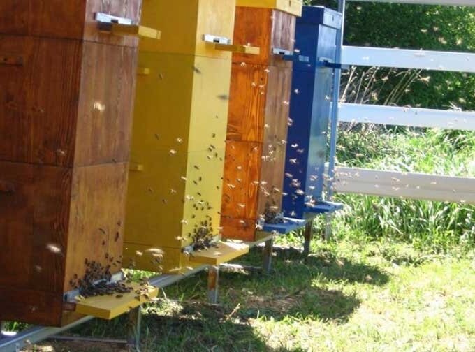 Многокорпусные ульи - содержания пчел