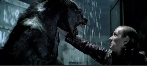 Иллюстрация взята из свободного доступа в интернете