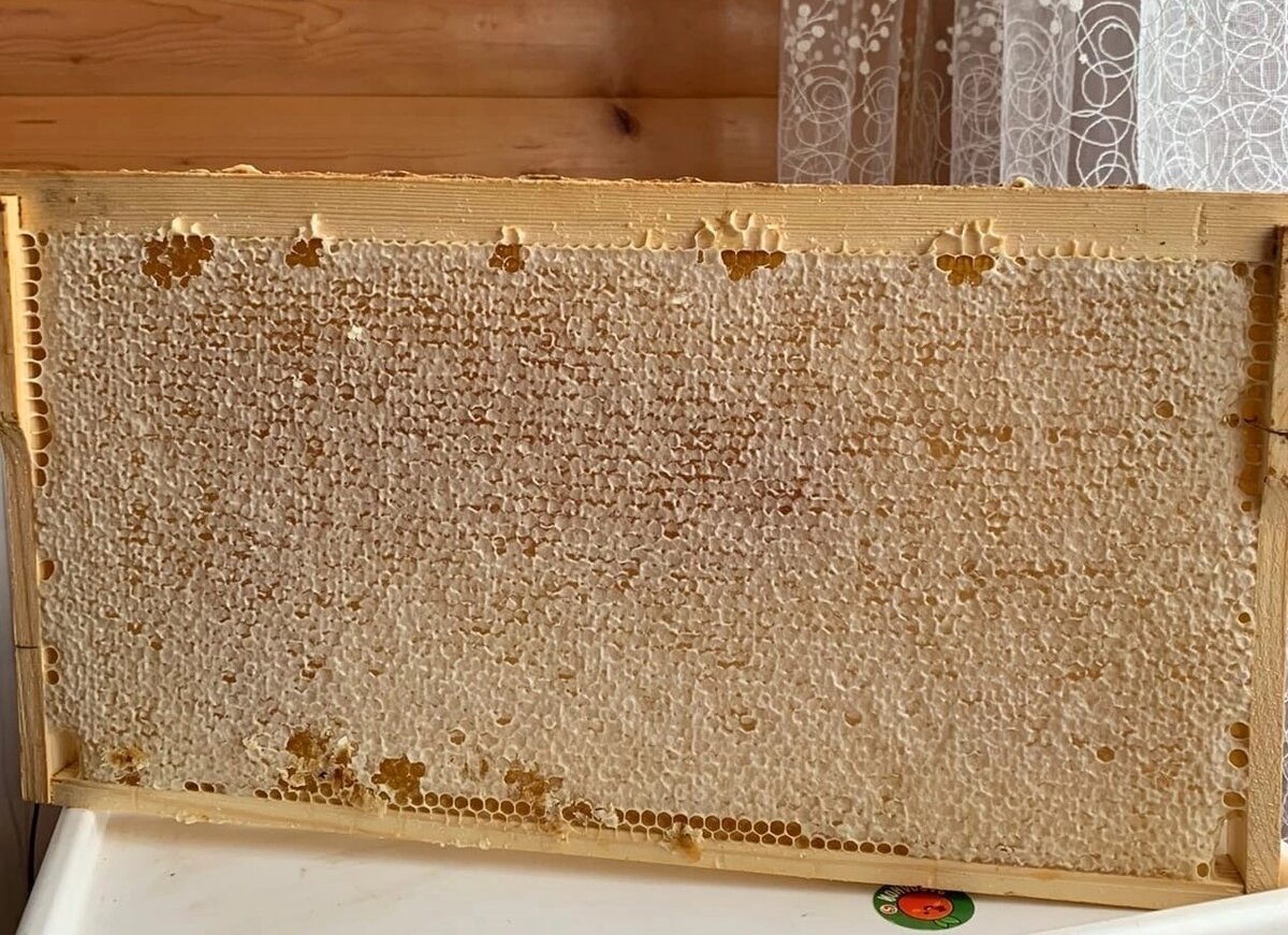 мед в сотах долго остается жидким, так как он "законсервирован"