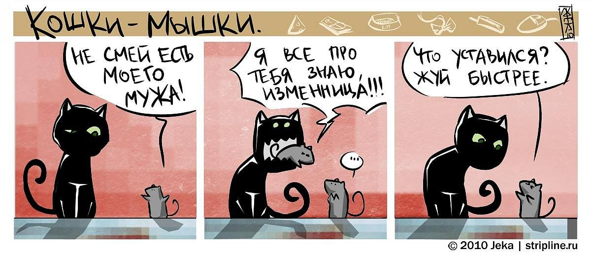 Кошки-мышки #35