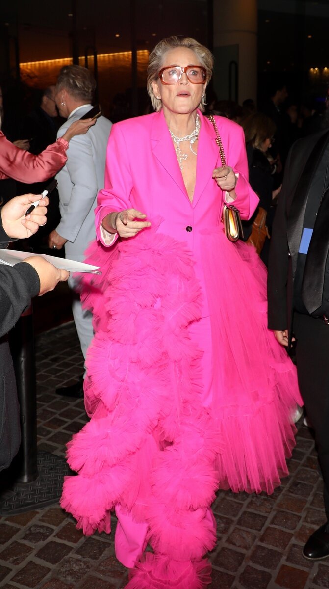    Шэрон Стоун в ярком образеLegion-Media