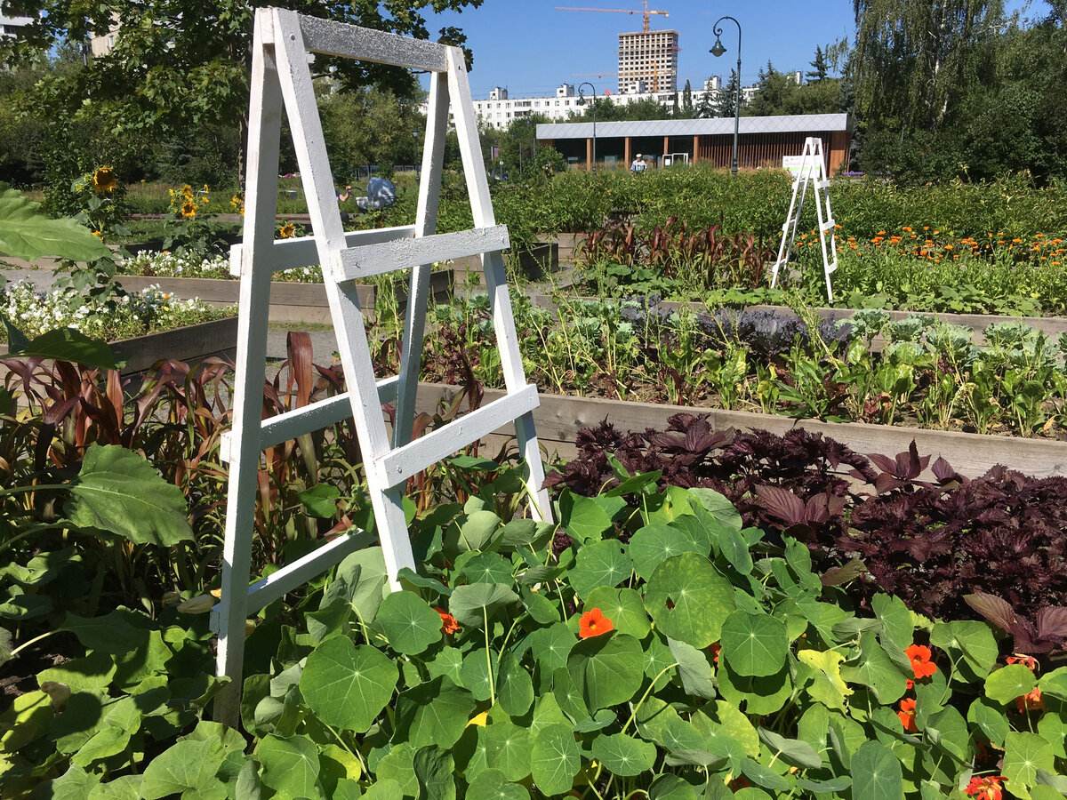 8 фото, листайте