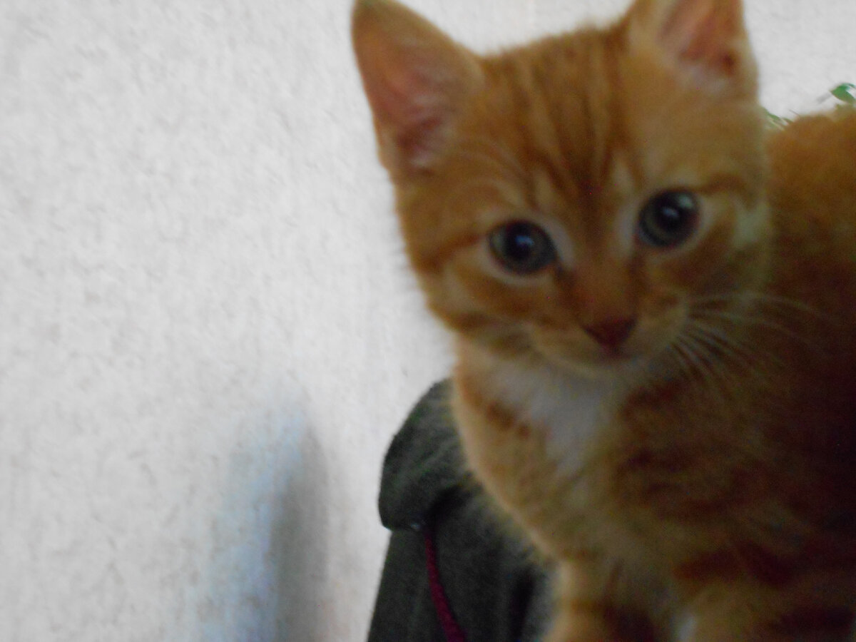 Мэри в детстве.