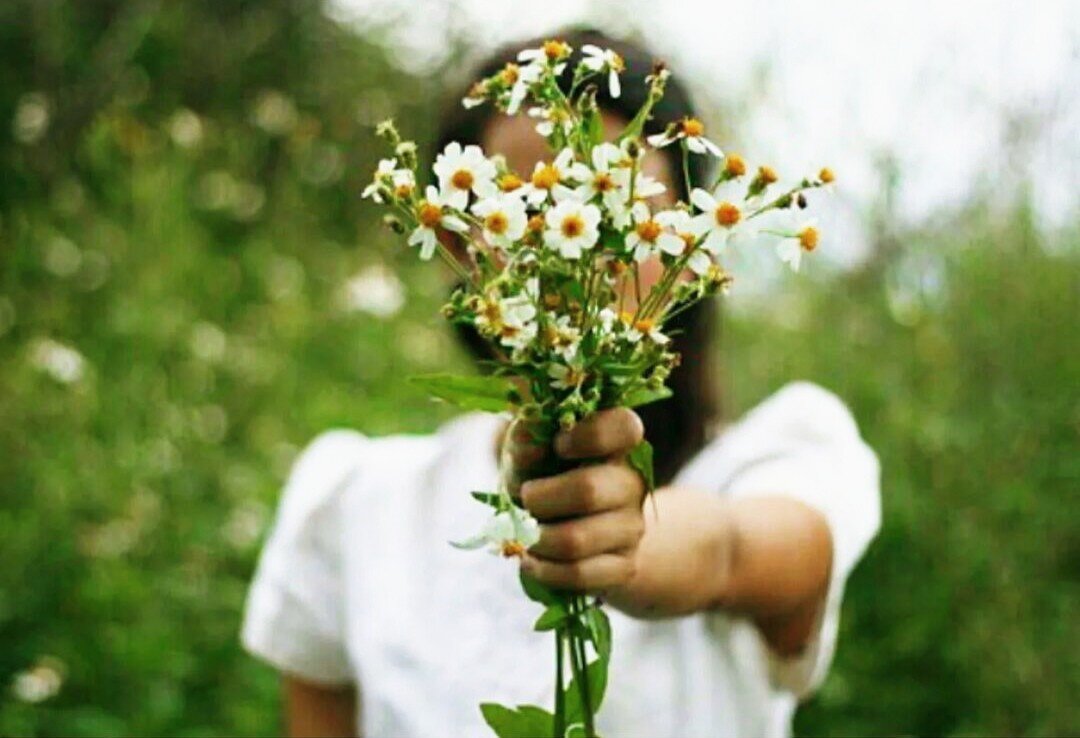 Полевые цветы в руках