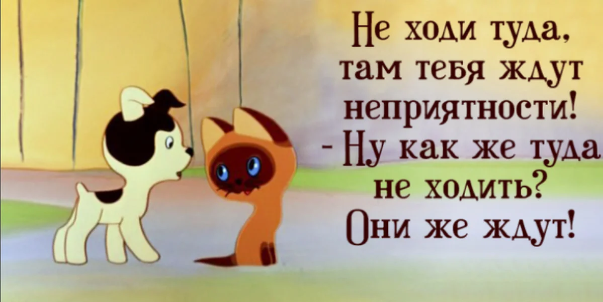 Котенок по имени Гав неприятности. Котенок Гав неприятности ждут. Котенок Гав неприятности они же ждут. Там тебя ждут неприятности.