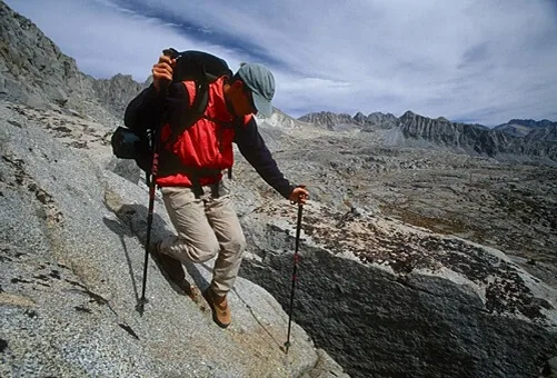 Источник:https://trekking-shop.ru/stati/tehnika-hodby-s-trekkingovymi-palkami/