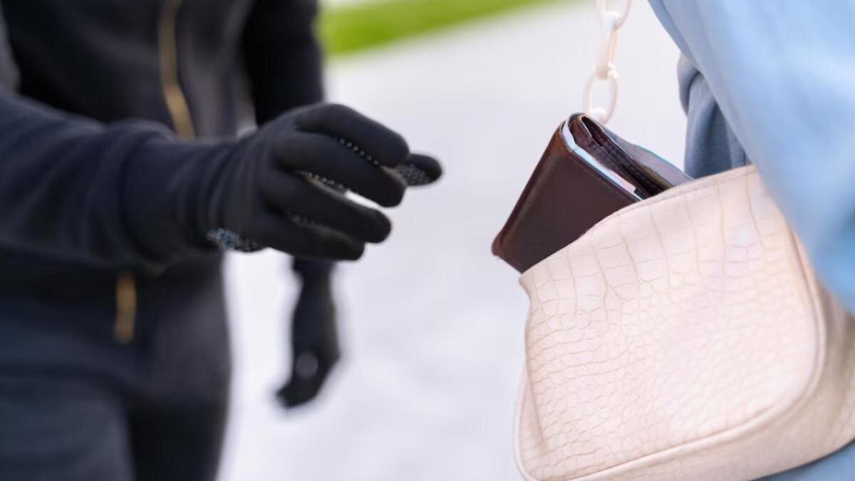    Вор тянется за кошельком:Freepik
