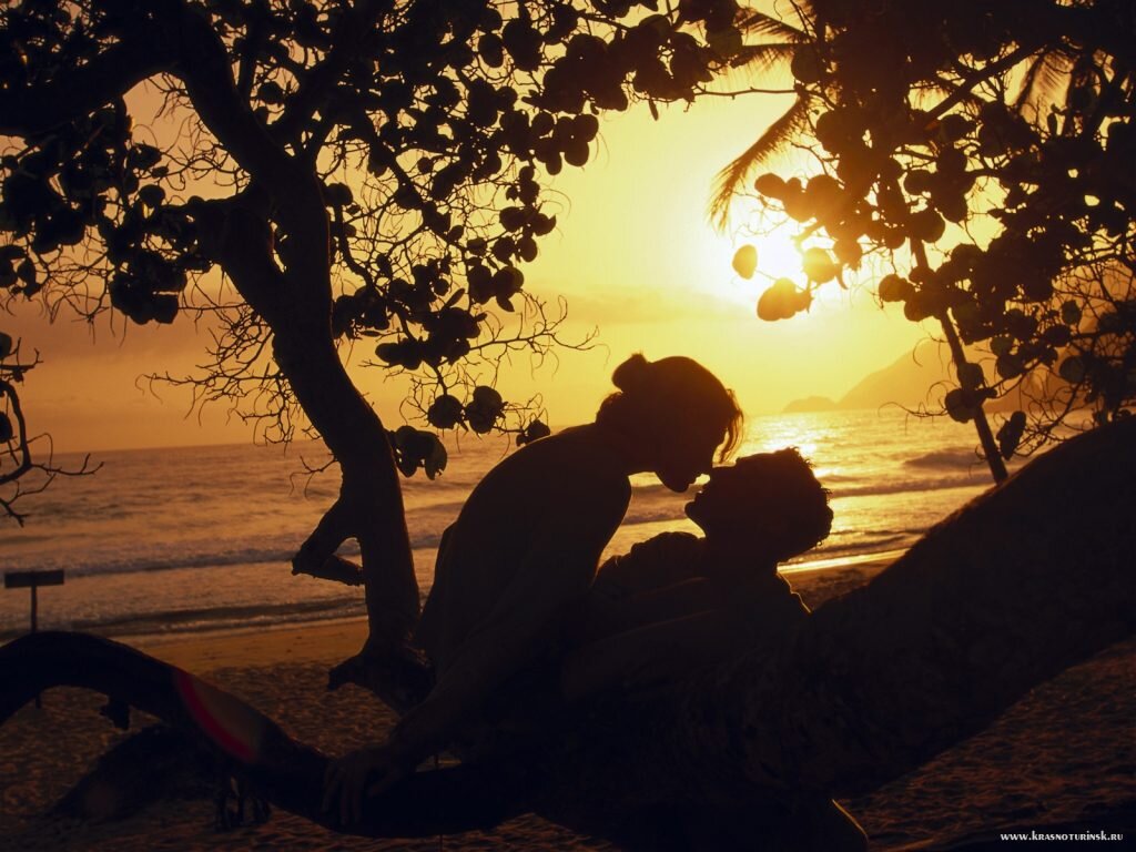 Изображение взято из открытых источников